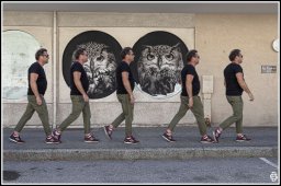 derivry serge  - les hiboux - sonac